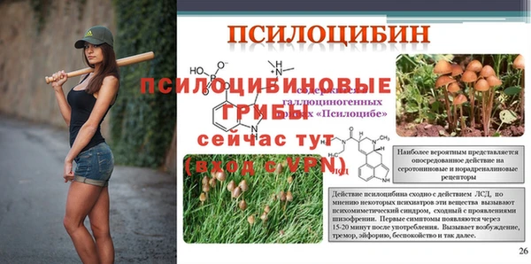 эйфоретик Абдулино